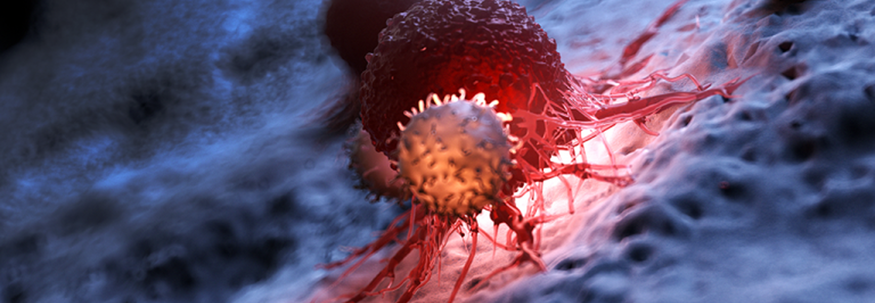 Le CHU de Rennes lance le 1er essai académique français sur les CAR-T cells